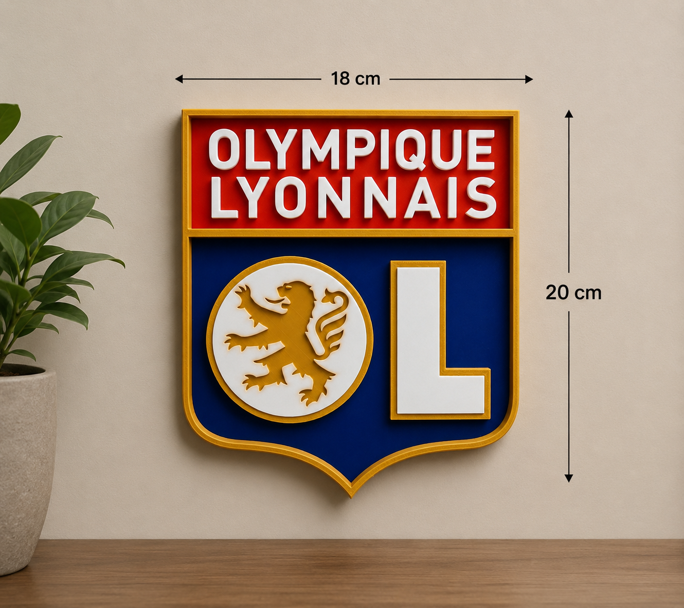 Plaque Décorative Olympique Lyonnais – Design Premium
