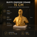 Sculpture Zinedine Zidane 1998 | Art Voronoi | Icône du Football | 15–25 cm