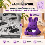 Lapin Mignon | Vide-Poches & Organisateur Universel