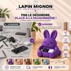 Lapin Mignon | Vide-Poches & Organisateur Universel
