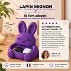 Lapin Mignon | Vide-Poches & Organisateur Universel