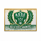 Plaque Ornementale AS Saint-Étienne